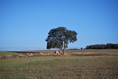 DSC_0015.JPG