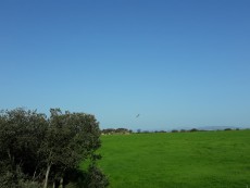 20180419_095018.jpg
