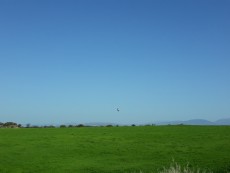 20180419_095020.jpg