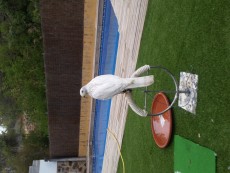 20160817_190843.jpg