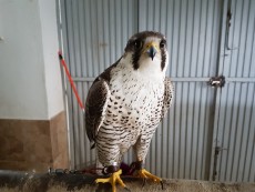 20180508_101611.jpg