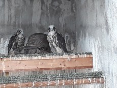 20180512_135123.jpg