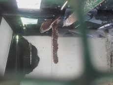 20180516_112617.jpg