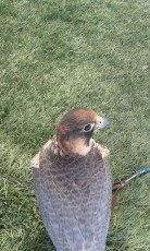 IMG-20180515-WA0008.jpg