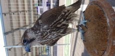 20180505_093959.jpg