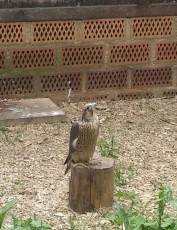 IMG-20180526-WA0007.jpg