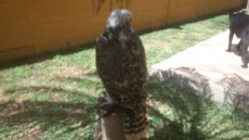 IMG-20180603-WA0024.jpg