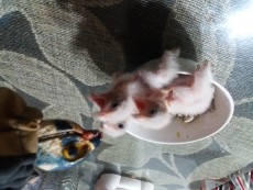 20180423_224538.jpg