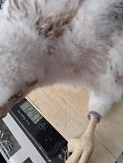 IMG-20180610-WA0019.jpg
