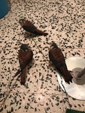 IMG-20180608-WA0008.jpg