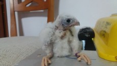 IMG-20180614-WA0030.jpeg