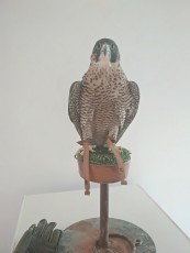 Hembra del 2016