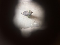 DA13029F-A9B2-4B6F-BBCE-0B25AE9C2123.jpeg