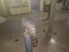 20180630_063255.jpg