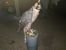 20180630_063330.jpg
