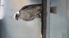20180701_101743.jpg
