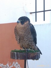 IMAG0149.jpg