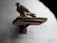 20180706_203153.jpg