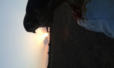 bonita tarde.