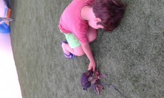 20180719_205650.jpg