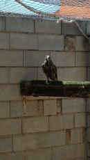 IMG_9163.PNG