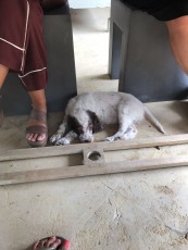 IMG-20180813-WA0008.jpg
