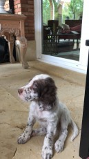 IMG-20180813-WA0039.jpg
