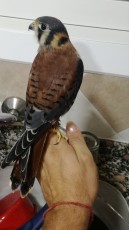 IMG_20180820_230728.jpg