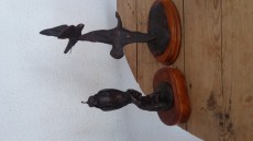 20180505_145925.jpg