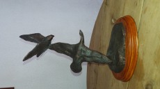 20180531_124157.jpg
