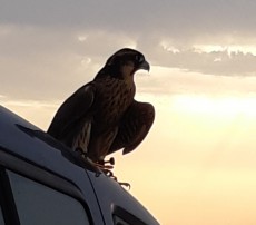 20180828_215538.jpg