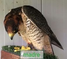 IMG_20180820_163508.jpg
