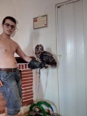 horus david.jpeg