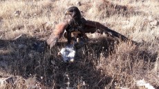 20171118_102956.jpg