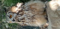 20180725_182305.jpg