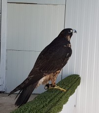 20180923_142131.jpg