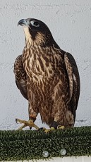20180923_142029.jpg