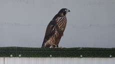 20180929_143451.jpg