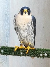 20180315_042234.jpg