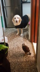 IMG-20180323-WA0017.jpg