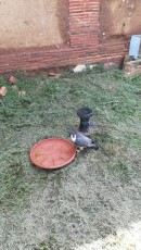 IMG-20181027-WA0012.jpg