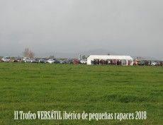 carpa y campo lejos2.jpg