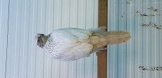 20190112_130641.jpg