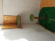 20190105_103737.jpg