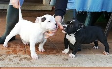 IMG_20190120_230220.jpg