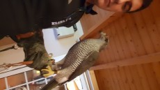 IMG-20181109-WA0011.jpeg