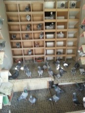 3DA90341-ABD2-4C76-8AD2-3794993F4146.jpeg