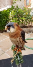 IMG-20180818-WA0005.jpg