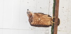 20180701_100528.jpg