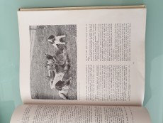 20190216_134203.jpg